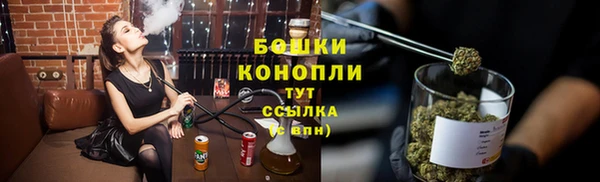 гидра Верея