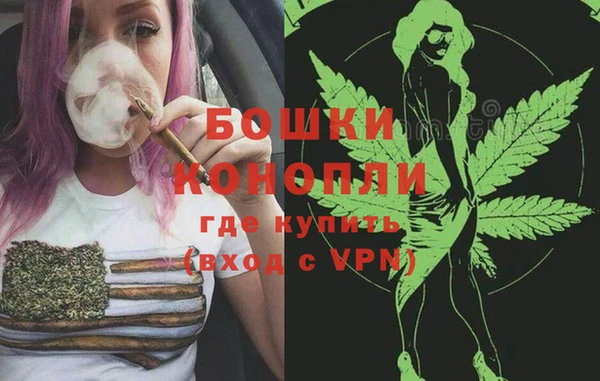 гидра Верея