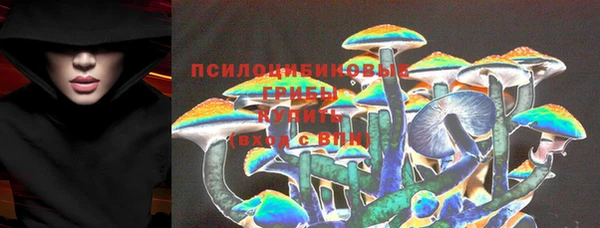 гидра Верея