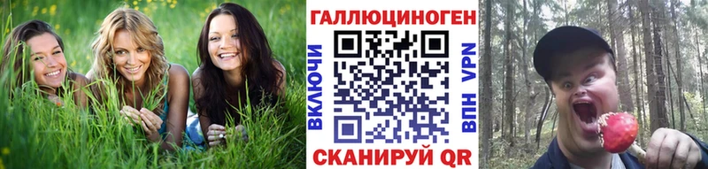 хочу Люберцы Псилоцибиновые грибы Magic Shrooms